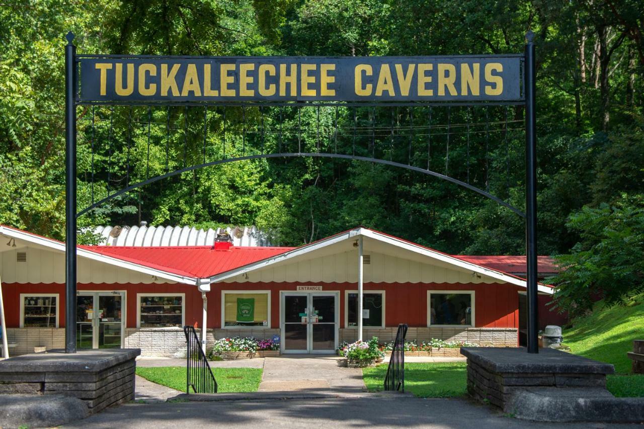 Twin Cub Lodge Tuckaleechee Exterior photo
